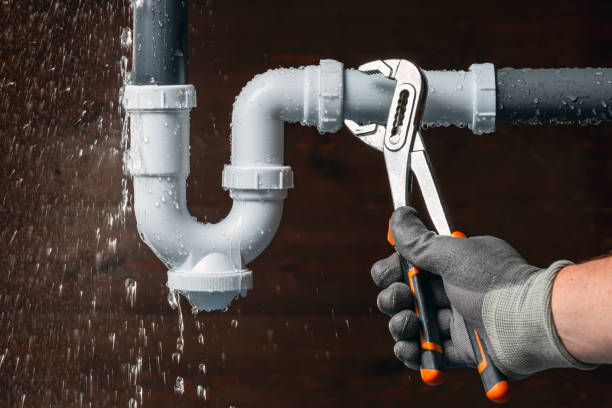Professional Plumbing technician working in Afton, WI